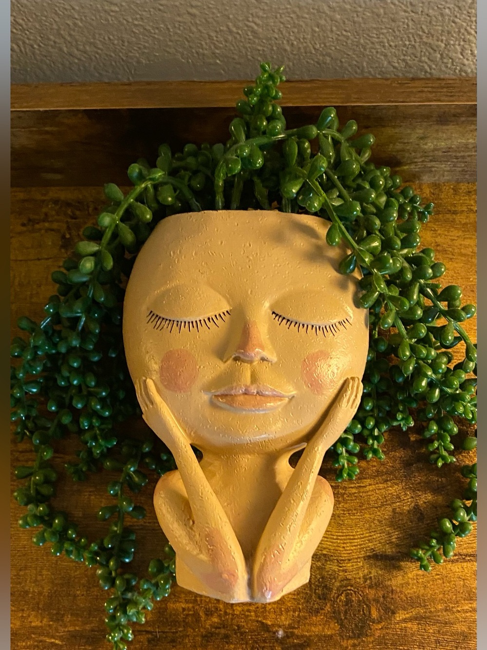 Head Planter w/Faux Succulents